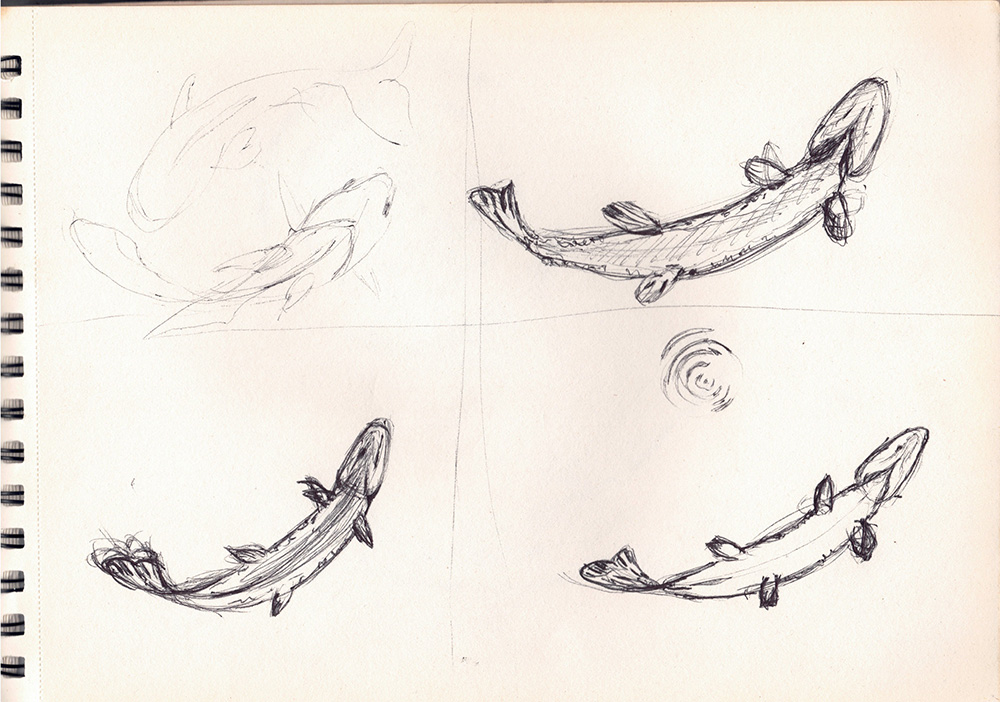 Croquis brochet 1