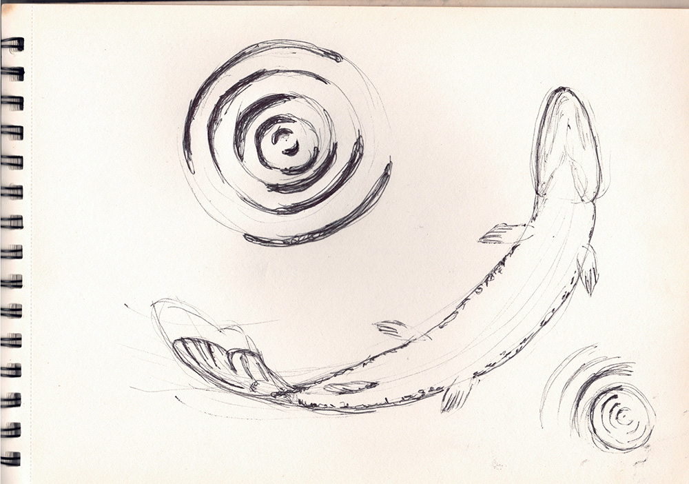 Croquis brochet 2
