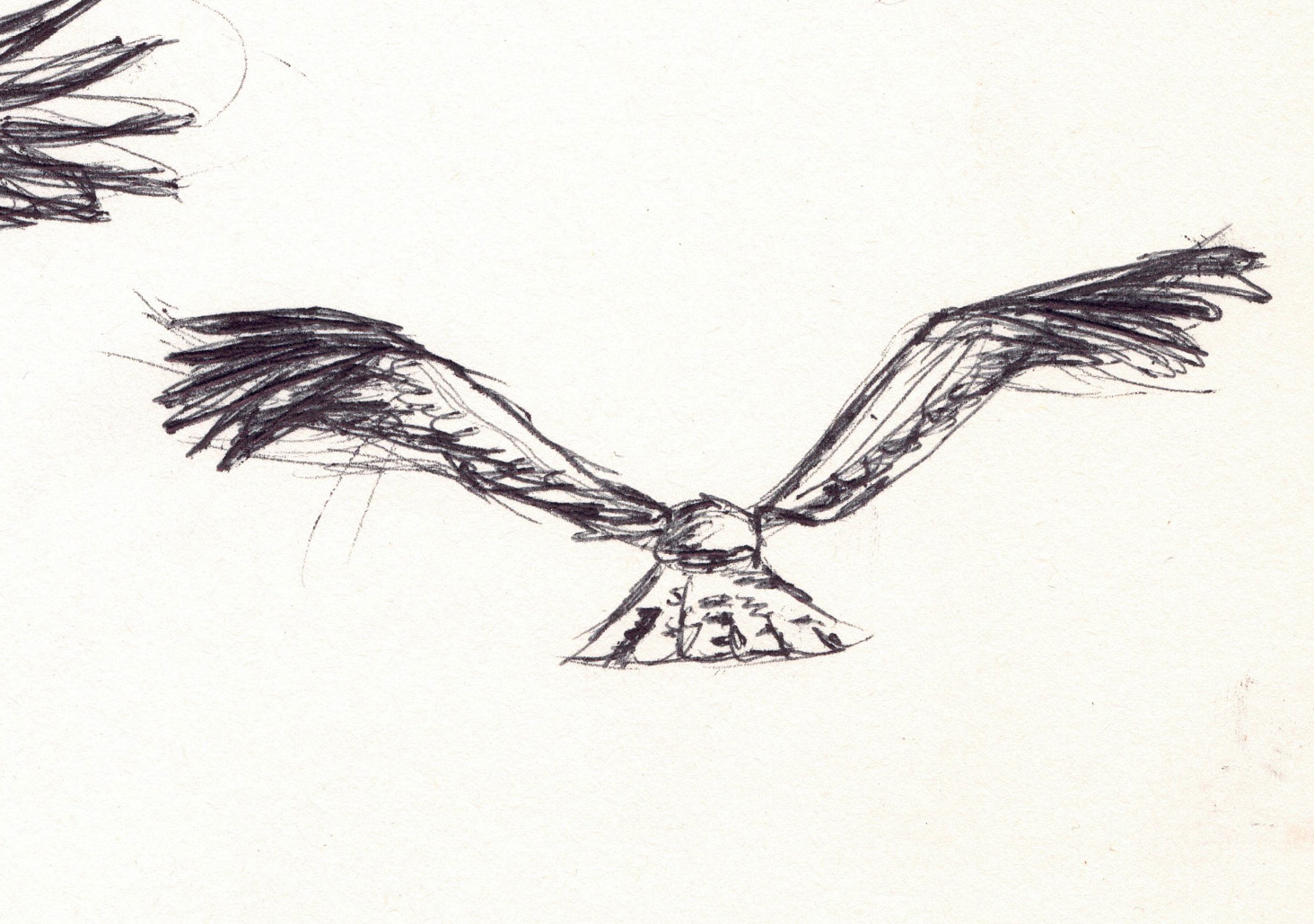 Croquis milan 2
