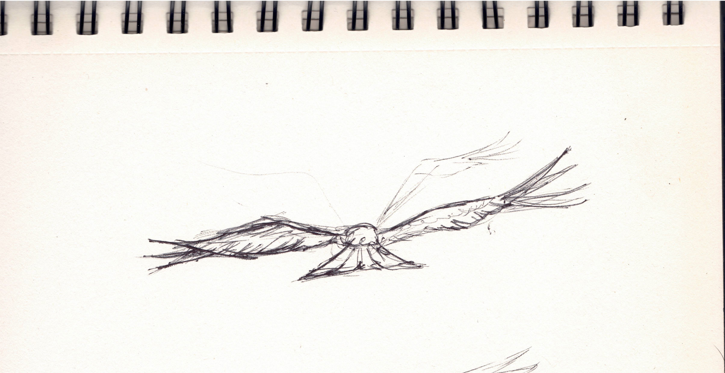 Croquis milan 3