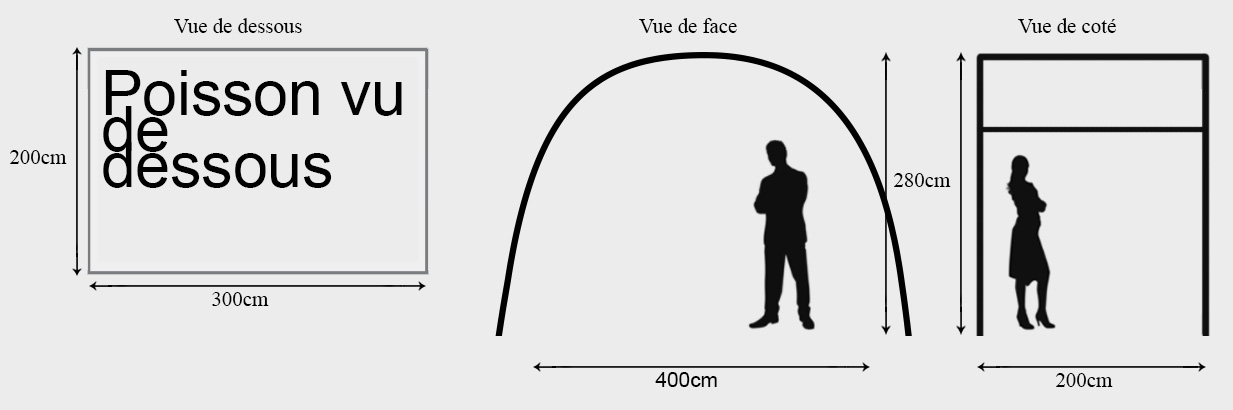 Schéma technique poisson