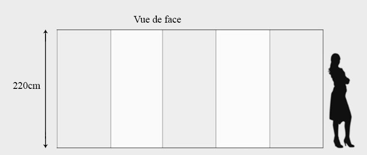 Vue de face renard